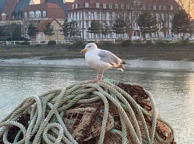 La Madelon Front De Apartman *