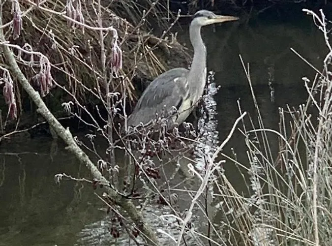Apartman La Madelon Front De
