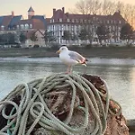 La Madelon Front De Appartement *