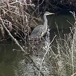 Appartement La Madelon Front De
